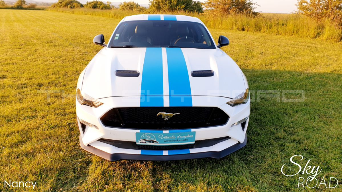 Ford Mustang 5.0 V8 450cv D2317L