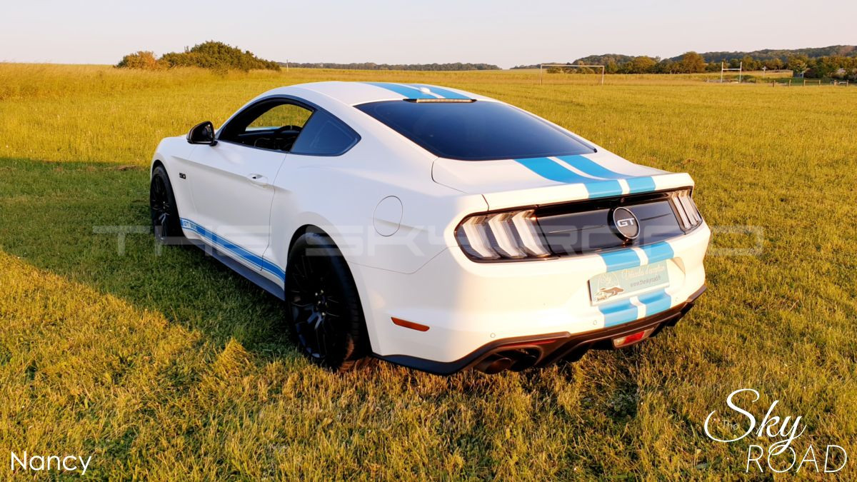 Ford Mustang 5.0 V8 450cv D2317L