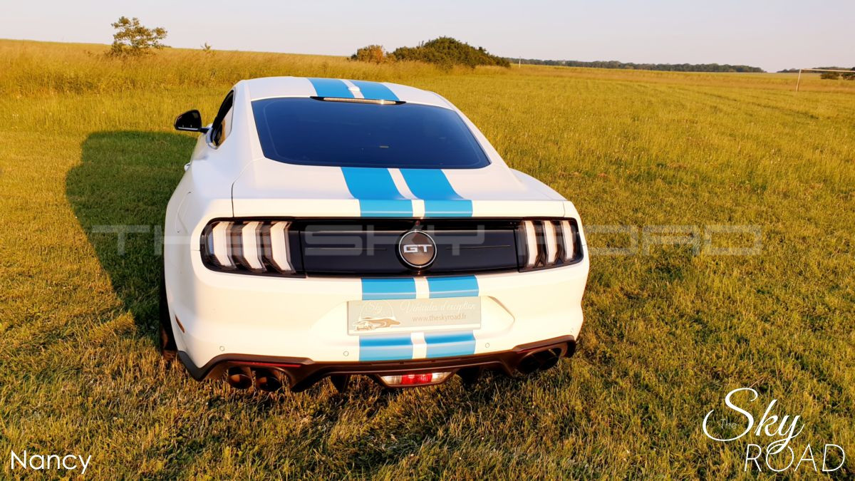 Ford Mustang 5.0 V8 450cv D2317L
