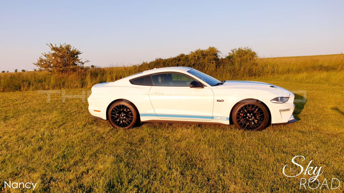 Ford Mustang 5.0 V8 450cv D2317L