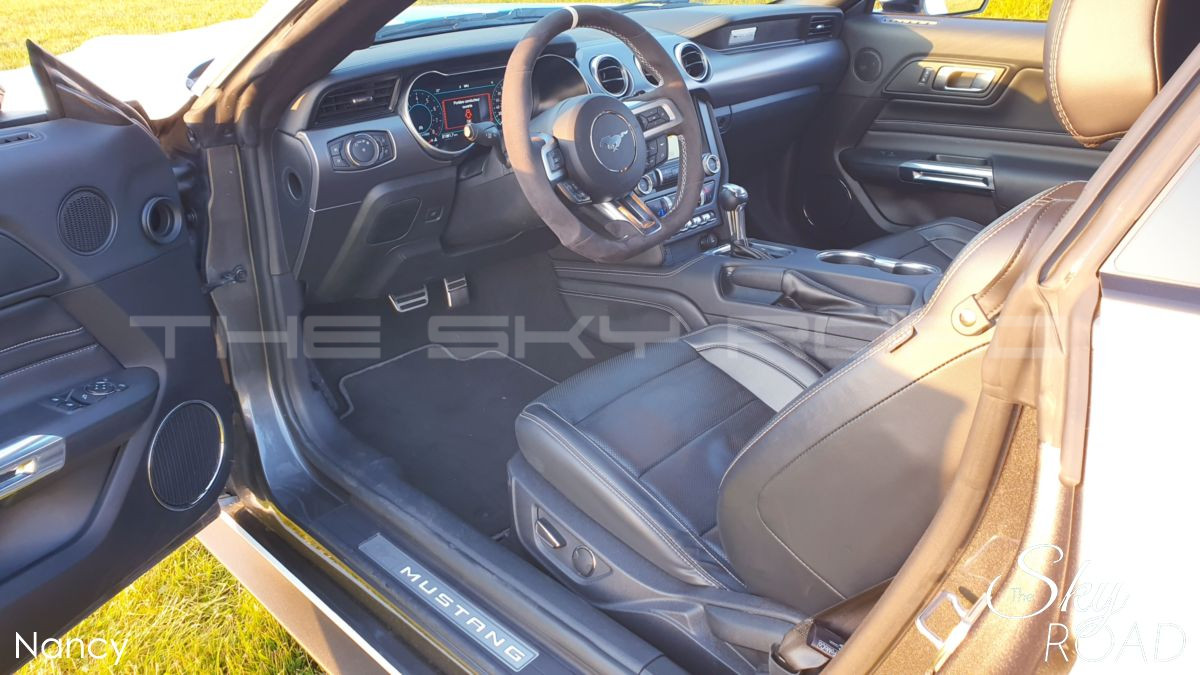 Ford Mustang 5.0 V8 450cv D2317L