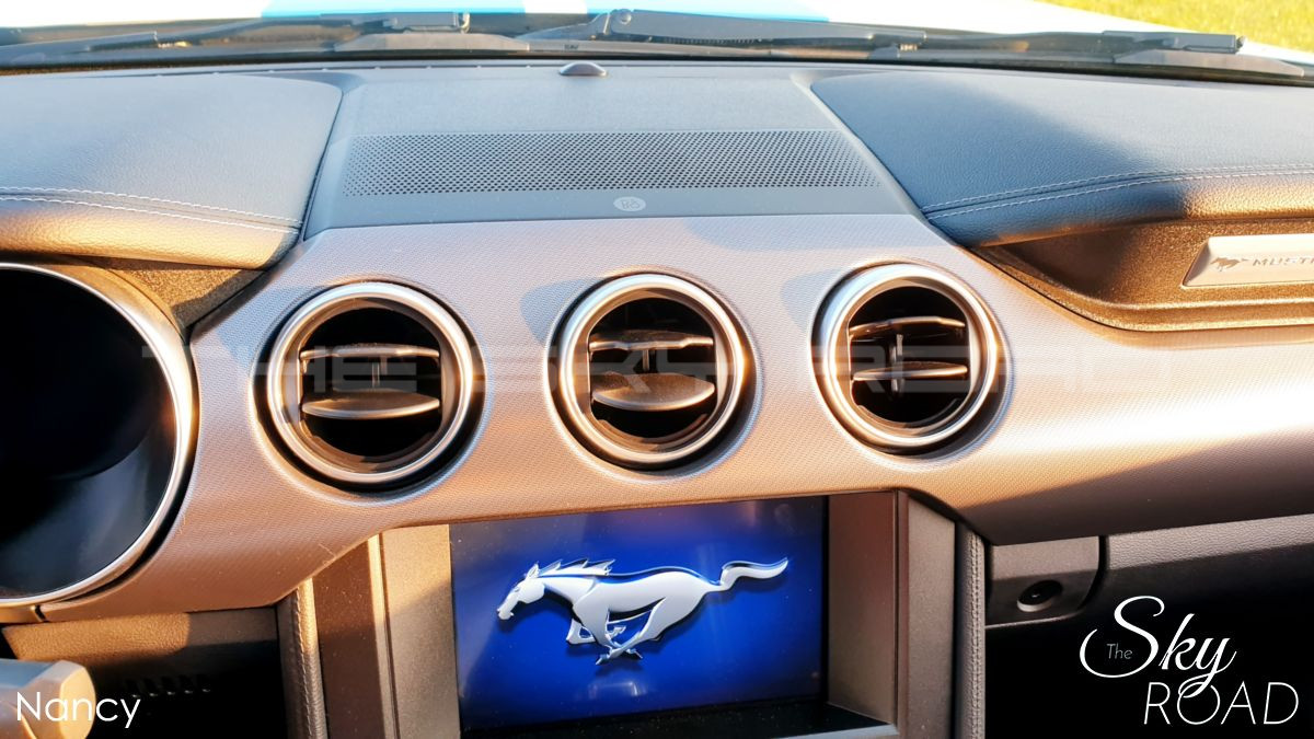 Ford Mustang 5.0 V8 450cv D2317L