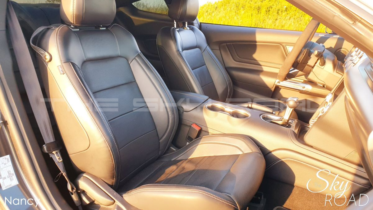 Ford Mustang 5.0 V8 450cv D2317L