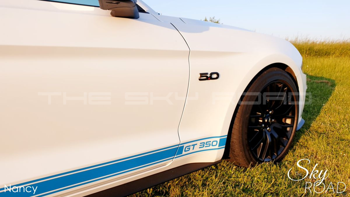 Ford Mustang 5.0 V8 450cv D2317L