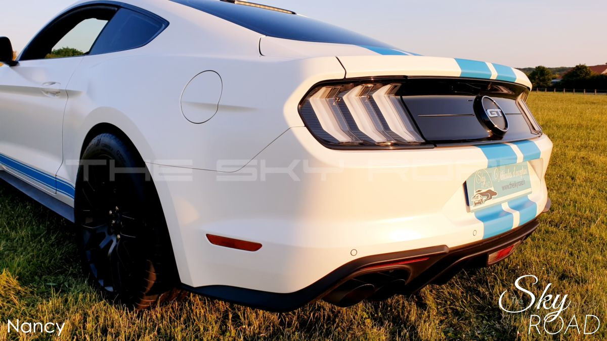 Ford Mustang 5.0 V8 450cv D2317L
