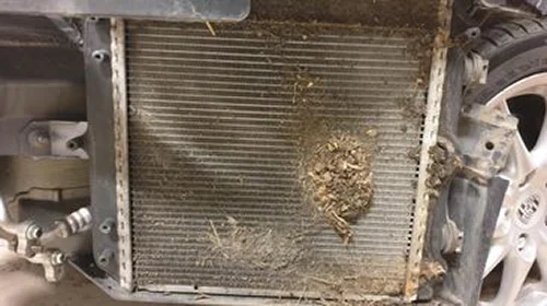 Nettoyage radiateurs Porsche