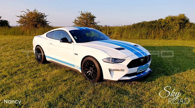 Ford Mustang 5.0 V8 450cv D2317L